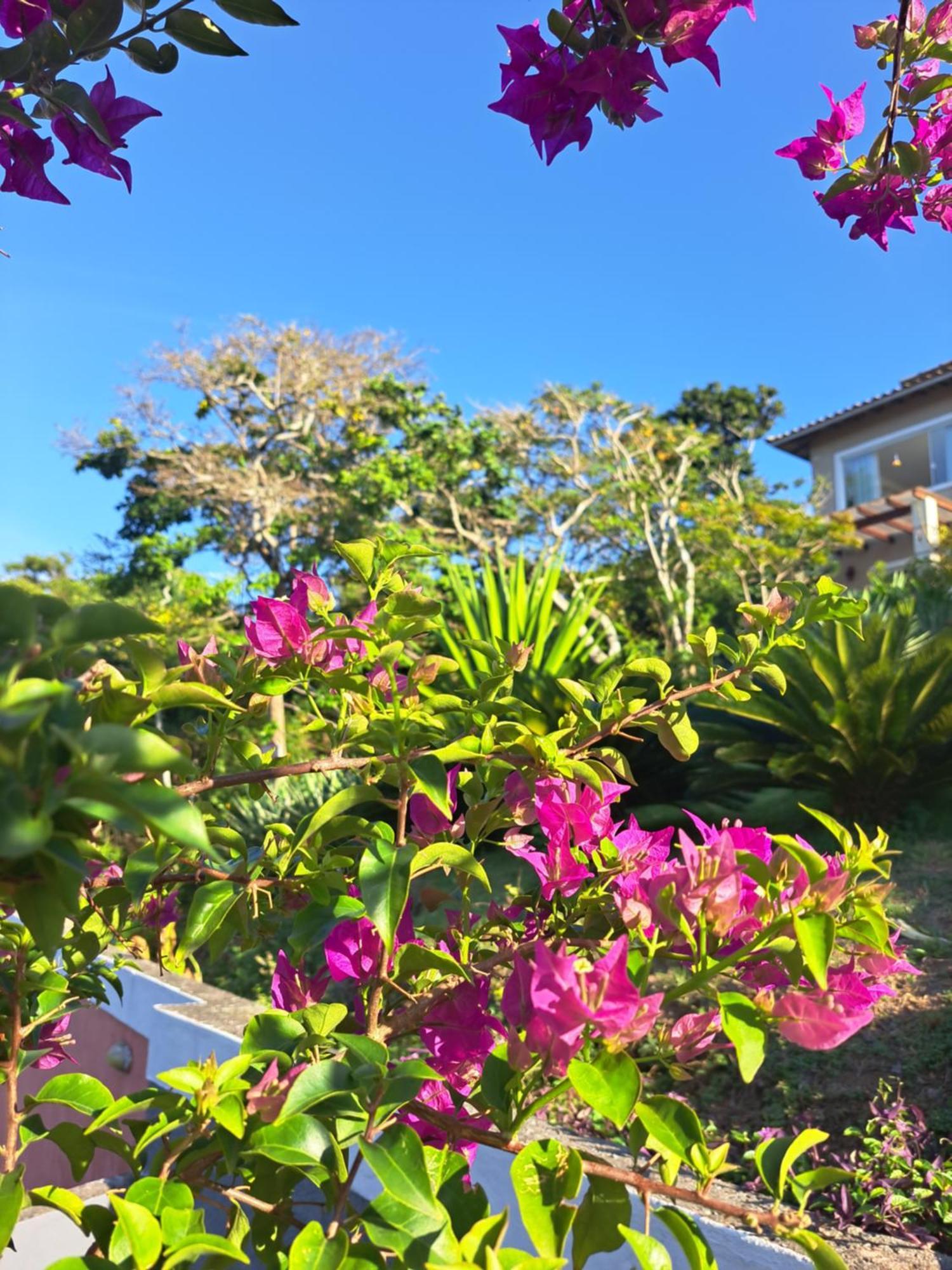 Vivamar Ferradura Bed & Breakfast Armacao dos Buzios Luaran gambar